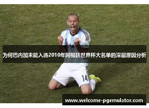 为何巴内加未能入选2010年阿根廷世界杯大名单的深层原因分析