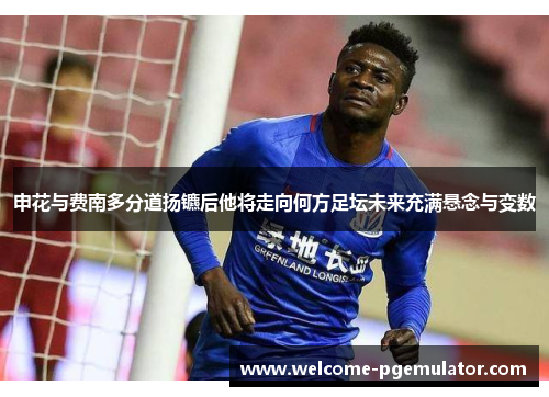 申花与费南多分道扬镳后他将走向何方足坛未来充满悬念与变数