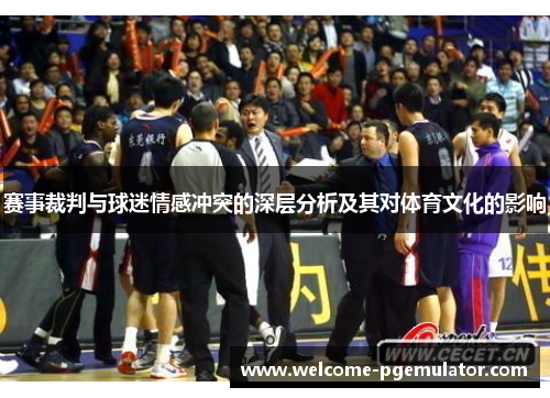 赛事裁判与球迷情感冲突的深层分析及其对体育文化的影响