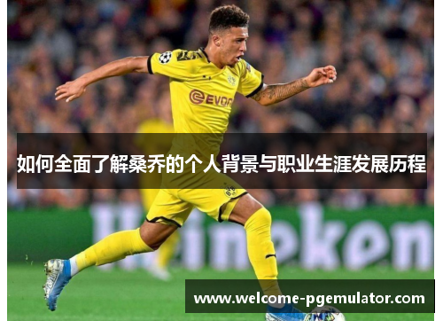 如何全面了解桑乔的个人背景与职业生涯发展历程