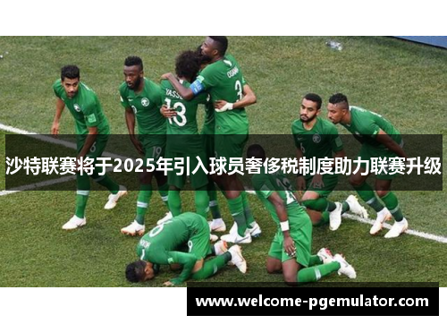 沙特联赛将于2025年引入球员奢侈税制度助力联赛升级