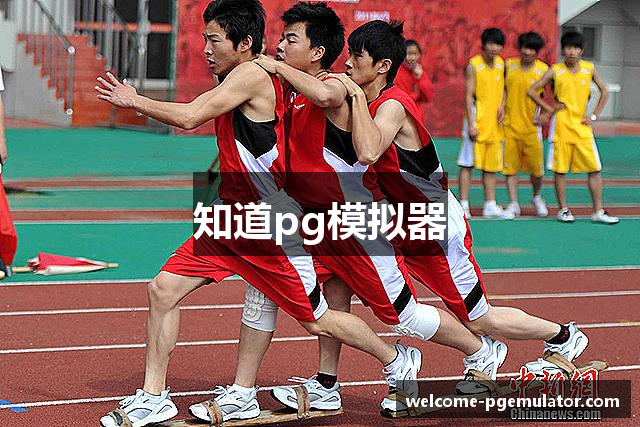知道pg模拟器